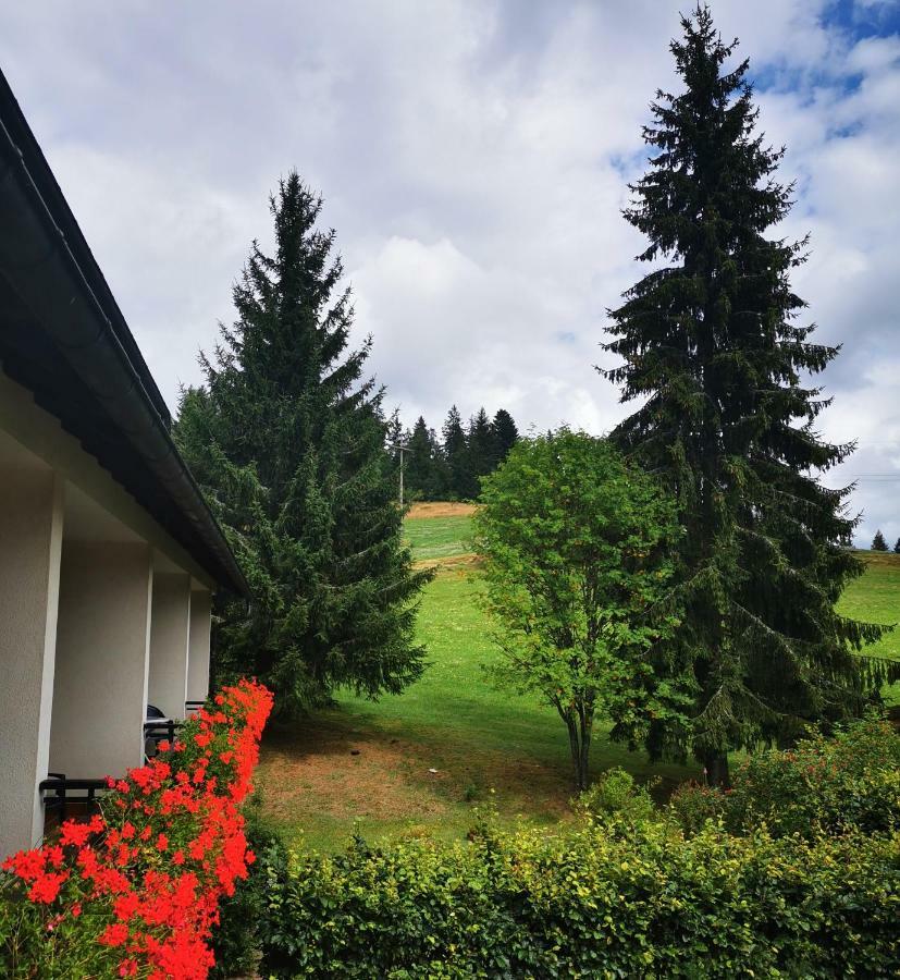 Schwarzwaldgasthof Hotel Hirschen Ibach Exterior photo